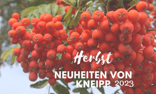 Herbstneuheiten 2023 von Kneipp® – die neuen&nbsp;Pflegeseifen